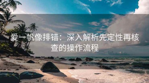 爱一帆像排错：深入解析先定性再核查的操作流程