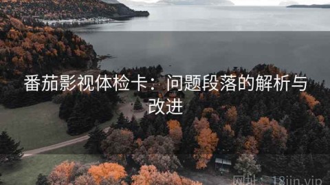 番茄影视体检卡：问题段落的解析与改进