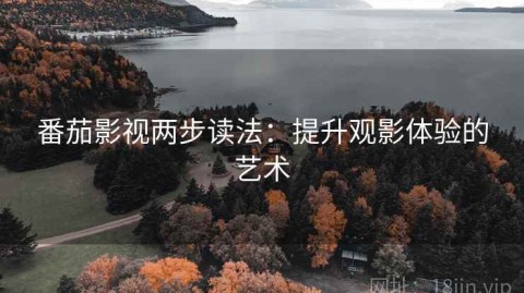 番茄影视两步读法：提升观影体验的艺术