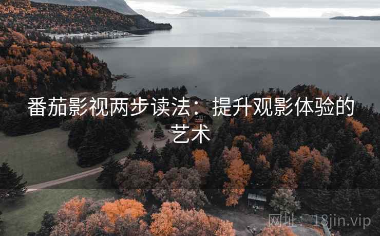 番茄影视两步读法：提升观影体验的艺术